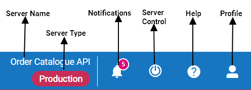 About Integration Server